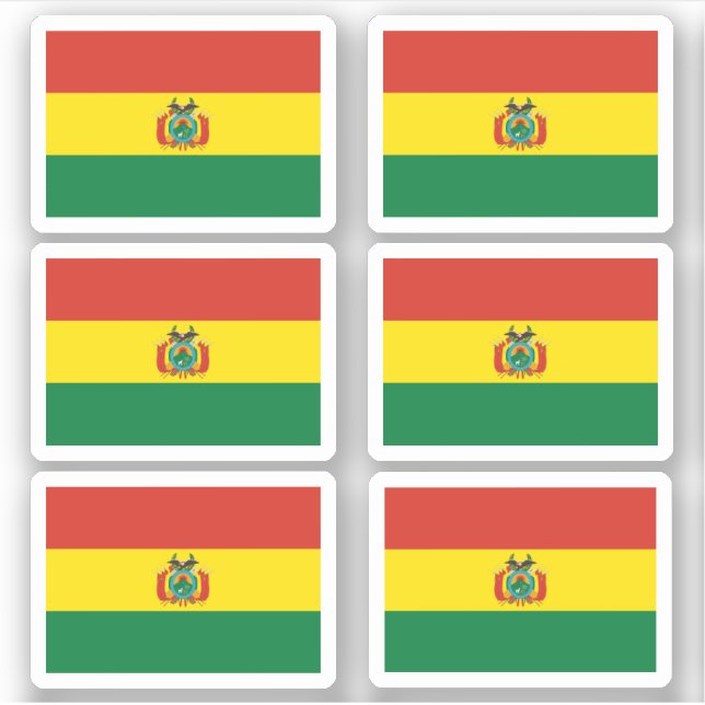 Bolivian flag (Front)