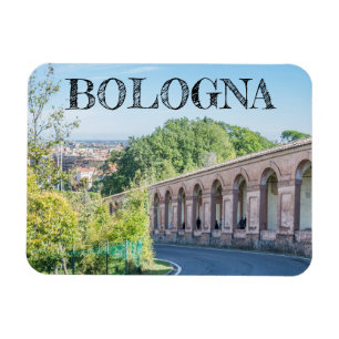 Bologna Portico di San Luca fridge magnet