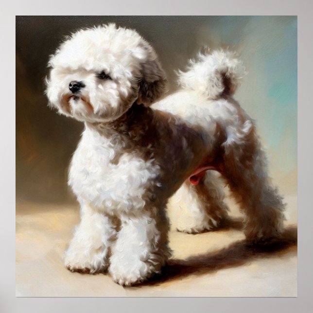 Bolognese Dog  Poster (Front)