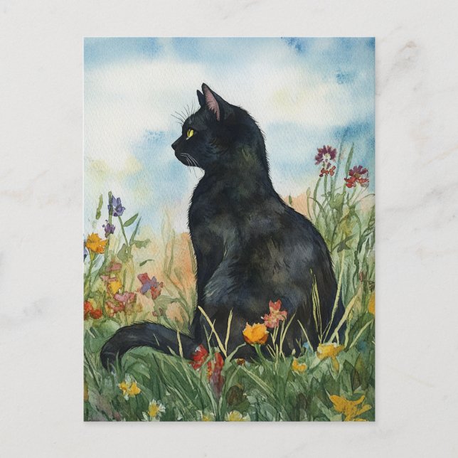 Bombay Cat - Postcard (Front)