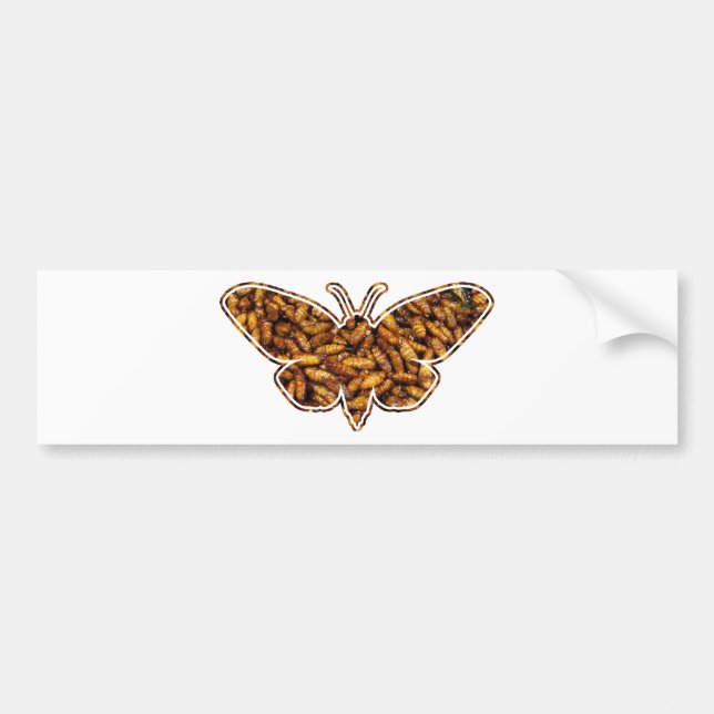 Bombyx Mori Silk Moth Life Cycle Silhouette Bumper Sticker (Front)