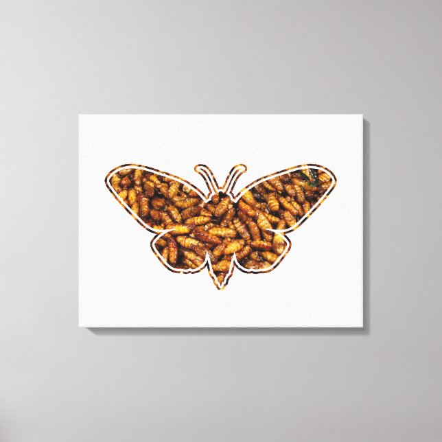 Bombyx Mori Silk Moth Life Cycle Silhouette Canvas Print (Front)