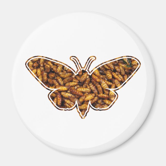 Bombyx Mori Silk Moth Life Cycle Silhouette Magnet (Front)