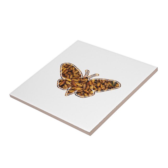 Bombyx Mori Silk Moth Life Cycle Silhouette Tile (Side)