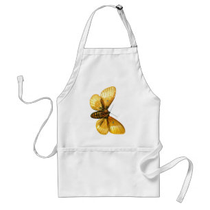 Bombyx quercus female standard apron