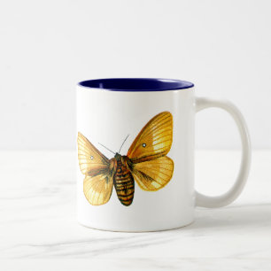Bombyx quercus female Two-Tone coffee mug