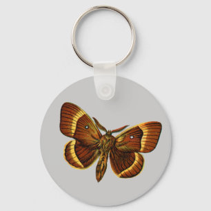 Bombyx quercus male key ring