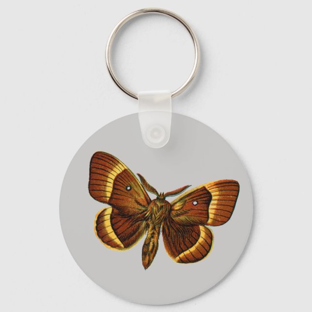 Bombyx quercus male key ring (Front)