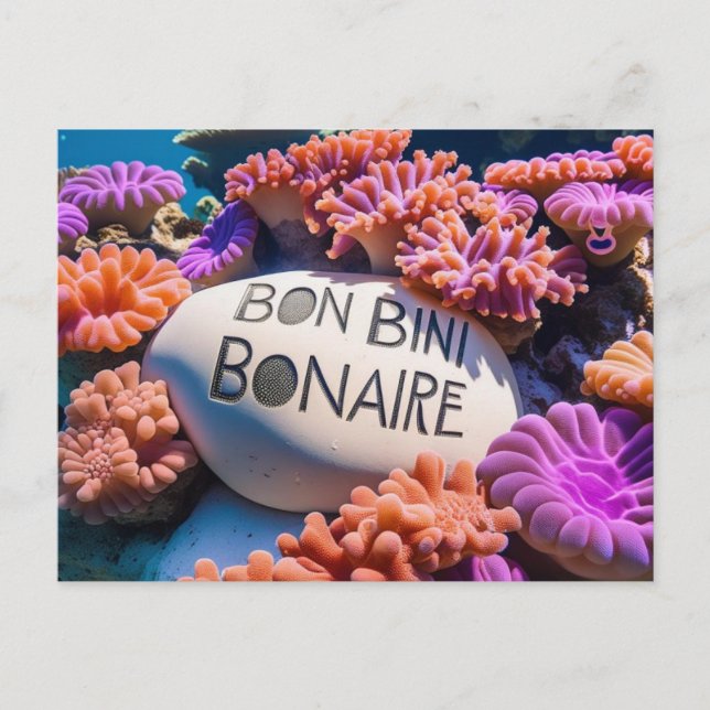 Bon bini bonaire postcard (Front)