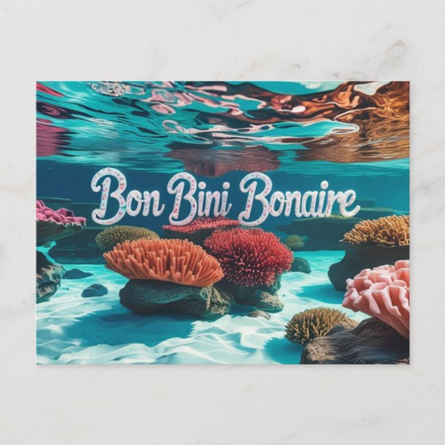 Bon bini bonaire postcard (Front)