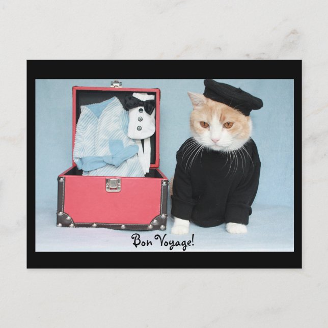 Bon Voyage! Postcard (Front)