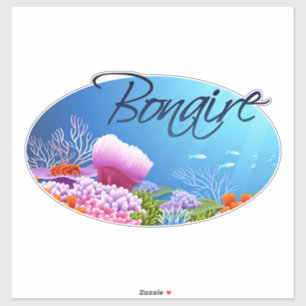 Bonaire decal