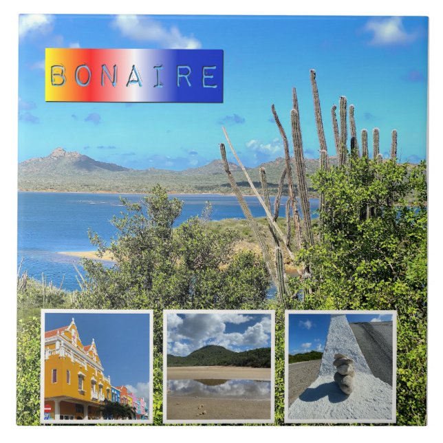 Bonaire Photo Collage  Tile (Front)