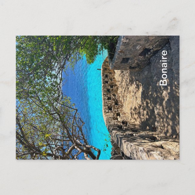 Bonaire Postcard (Front)
