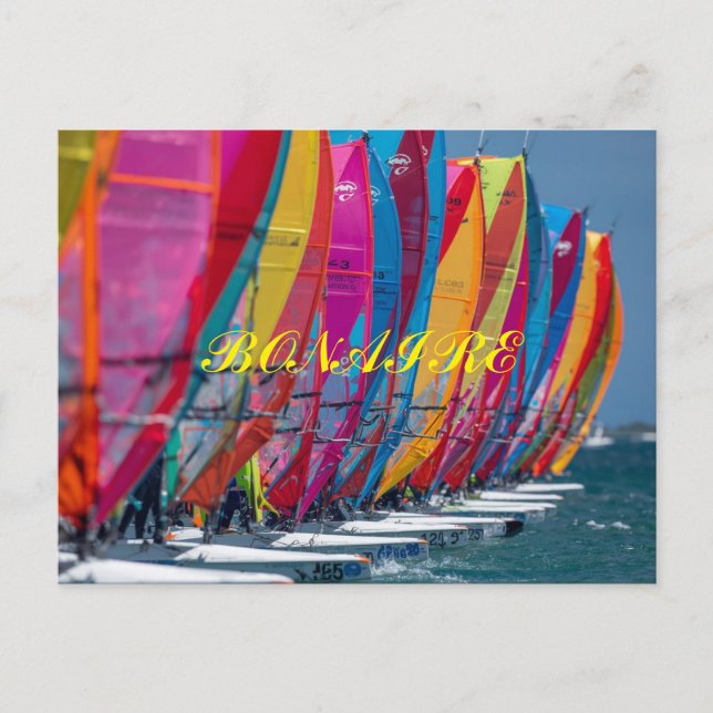 Bonaire Postcard (Front)