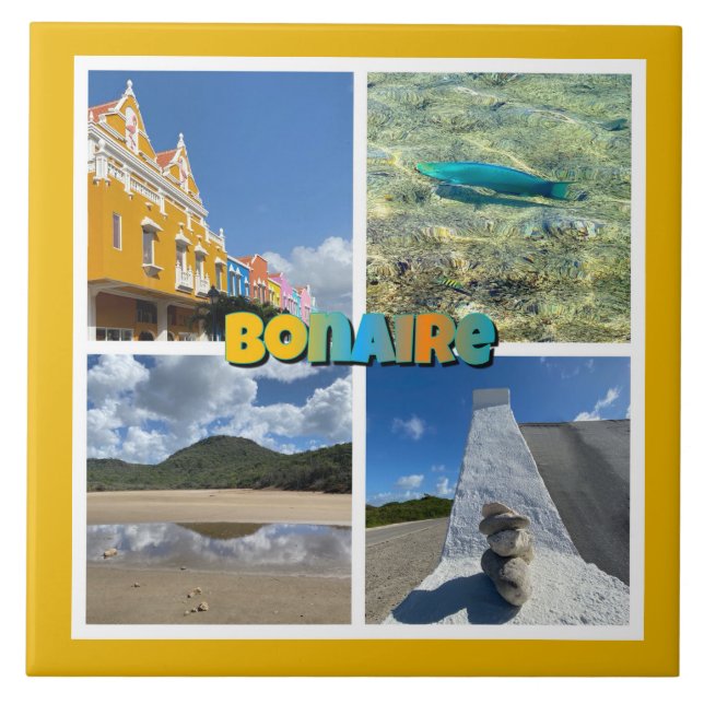 Bonaire Scenic Photo Collage Tile (Front)