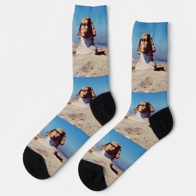 Bonaparte Before the Sphinx by Jean-Leon Gerome Socks (Left)