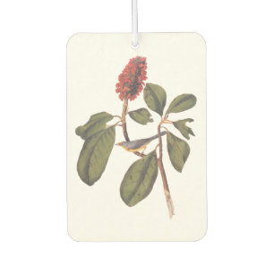 Bonaparte Flycatcher Canada Warbler Audubon Bird Car Air Freshener