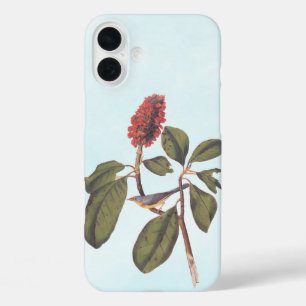 Bonaparte Flycatcher Canada Warbler Audubon Bird iPhone 16 Plus Case
