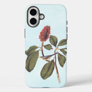 Bonaparte Flycatcher Canada Warbler Audubon Bird iPhone 16 Plus Case