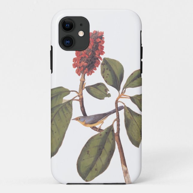 Bonaparte Flycatcher Canada Warbler Audubon Bird Case-Mate iPhone Case (Back)