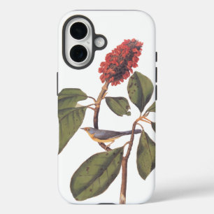 Bonaparte Flycatcher Canada Warbler Audubon Bird iPhone 16 Case