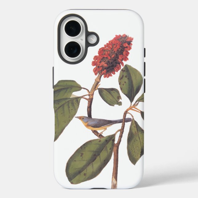 Bonaparte Flycatcher Canada Warbler Audubon Bird Case-Mate iPhone Case (Back)