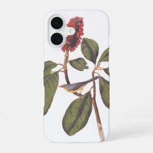 Bonaparte Flycatcher Canada Warbler Audubon Bird iPhone 16 Case
