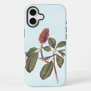 Bonaparte Flycatcher Canada Warbler Audubon Bird iPhone 16 Plus Case