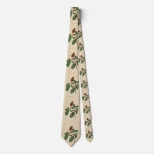 Bonaparte's Flycatcher, Audubon's Birds of America Tie