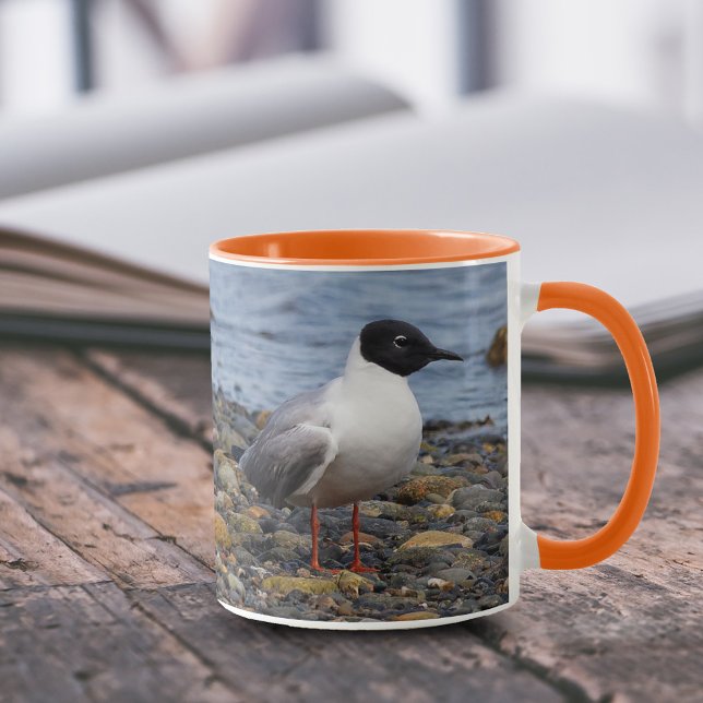 Bonaparte's Gull at the Beach Mug (Bonapartes Gull at Beach 11 oz Coffee Mug Cover Photo)
