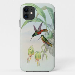 Bonaparte's Star Fronted Hummingbird (coloured lit Case-Mate iPhone Case
