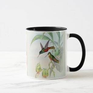 Bonaparte's Star Fronted Hummingbird (coloured lit Mug
