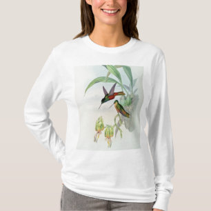 Bonaparte's Star Fronted Hummingbird (coloured lit T-Shirt