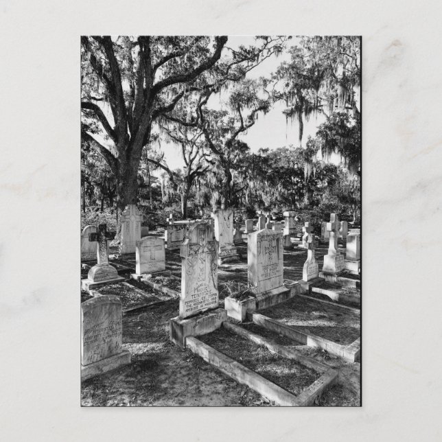 Bonaventure Cemetery, Savannah GA Postcard (Front)