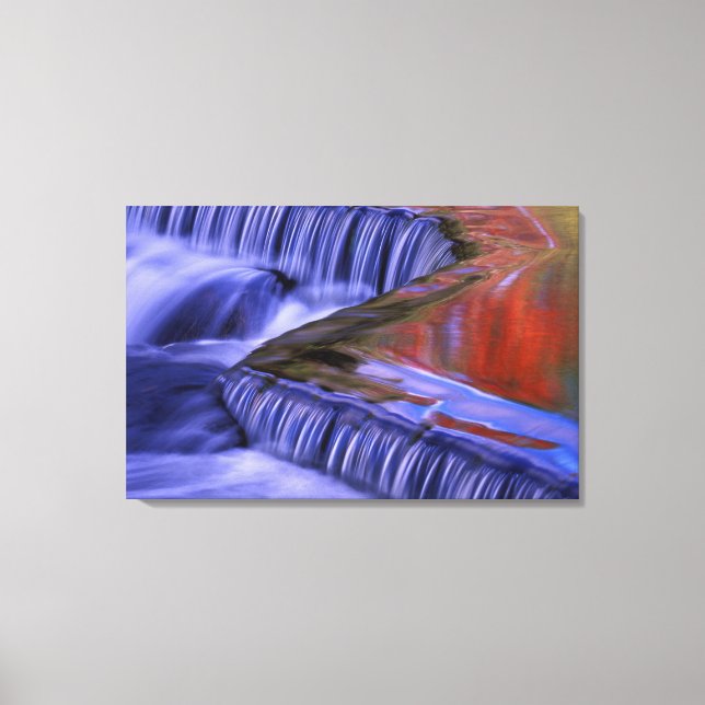 Bond Falls; Reflecting Fall Coloured Leaves; Canvas Print (Front)