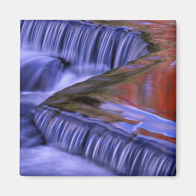 Bond Falls; Reflecting Fall Coloured Leaves; Magnet (Front)