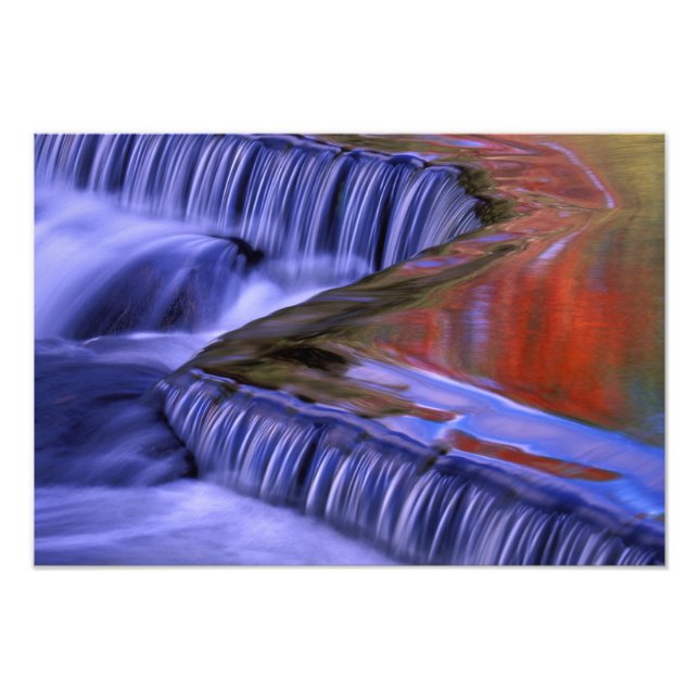 Bond Falls; Reflecting Fall Coloured Leaves; Photo Print (Front)