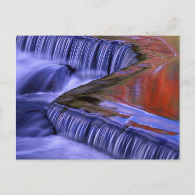 Bond Falls; Reflecting Fall Coloured Leaves; Postcard (Front)