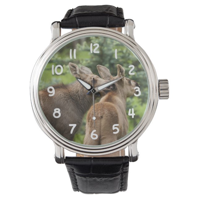 Bonded Moose Calves Watch (Front)