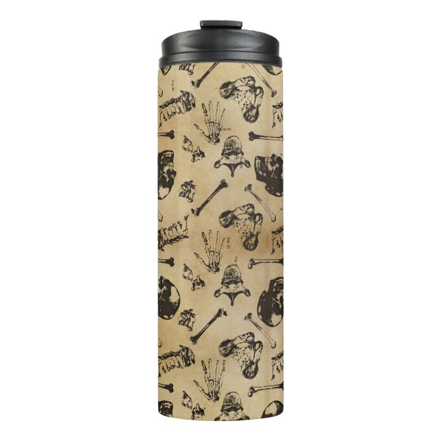 Bone Anatomy Archaeology Thermal Tumbler (Front)
