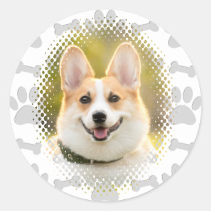 Bone And Paw Print Pattern Dog Frame  Classic Round Sticker