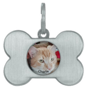 Bone Framed Pet Tag with Photo and Name