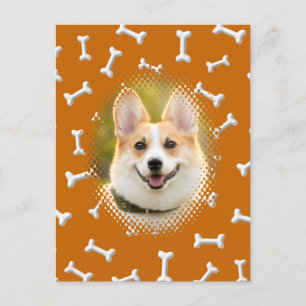 Bone Pattern Dog Frame Art Postcard