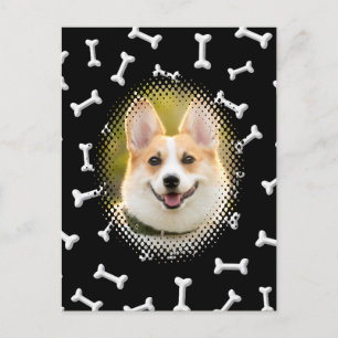 Bone Pattern Dog Frame Print Postcard