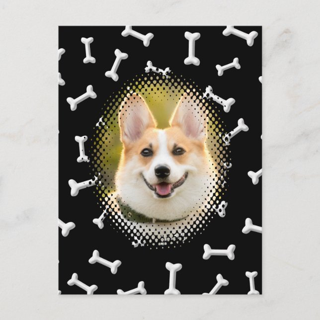 Bone Pattern Dog Frame Print Postcard (Front)