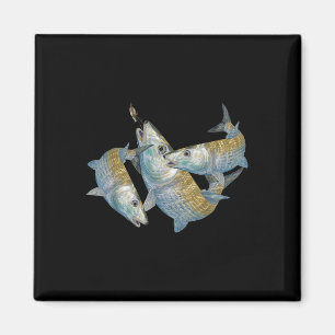 Bonefish Hunting A Salt Water Fly Fishing &amp; De Magnet