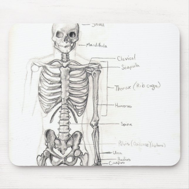 Bones Mouse Pad (Front)