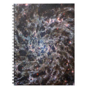 Bones of Galaxy IC5332 from JWST Notebook