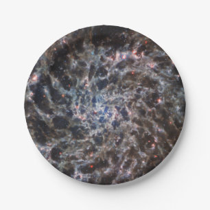 Bones of Galaxy IC5332 from JWST Paper Plate